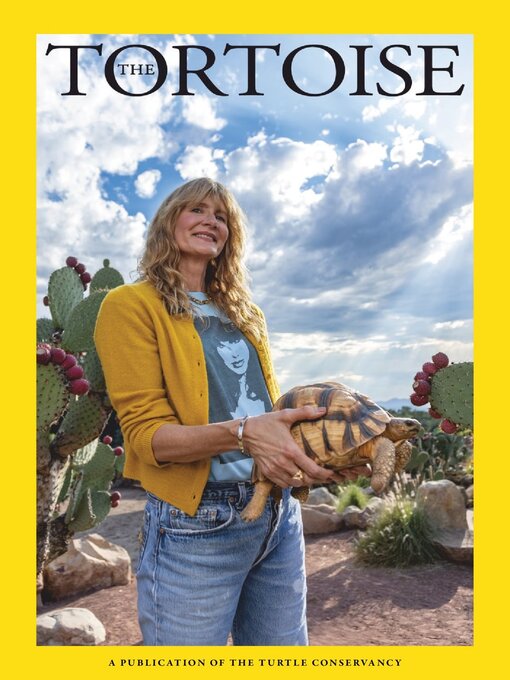 Cover image for TORTOISE Magazine